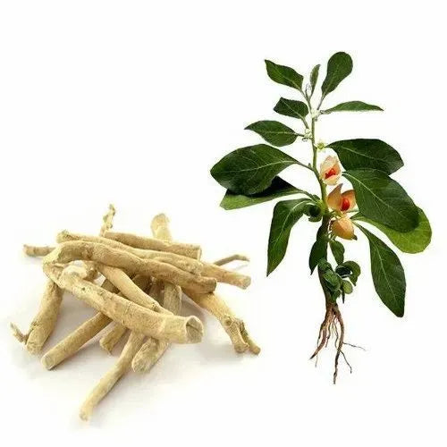 Ashwagandha with Black Pepper Extract for Stress Relief & Relaxation