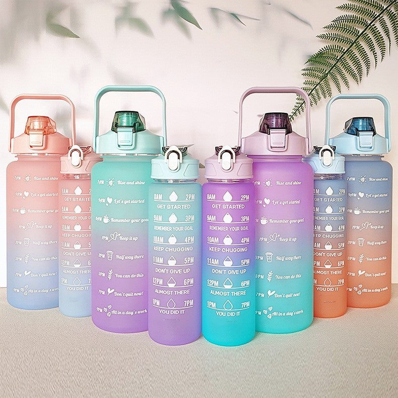 Unique Colorful Hydration Companions: 3 Water Bottle Set - Vessel Pure