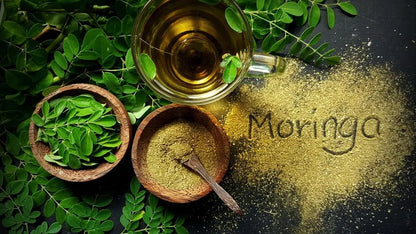 Pure Moringa Extract: Nature's Nutrient Powerhouse in a Capsule